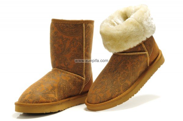 Ugg雪地靴短筒靴 5831凤尾栗色 女