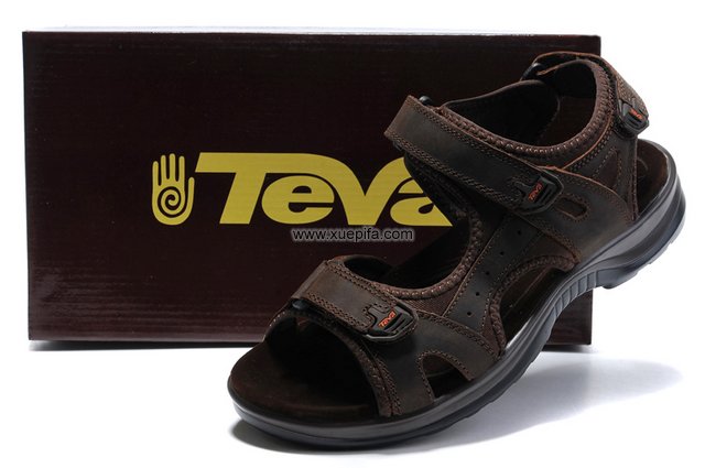 Teva沙滩凉鞋 2012新款暗棕 男