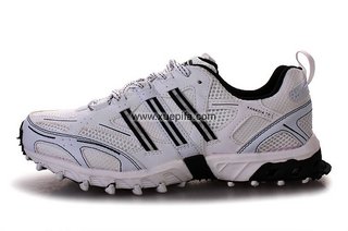 阿迪登山鞋 2011第二款白黑 男