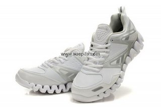 Reebok锐步zig-tech 2012新款毛毛虫皮面白银色 男