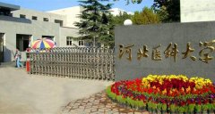 3本院校排名