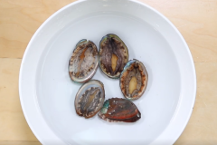 减鲍网bkc9